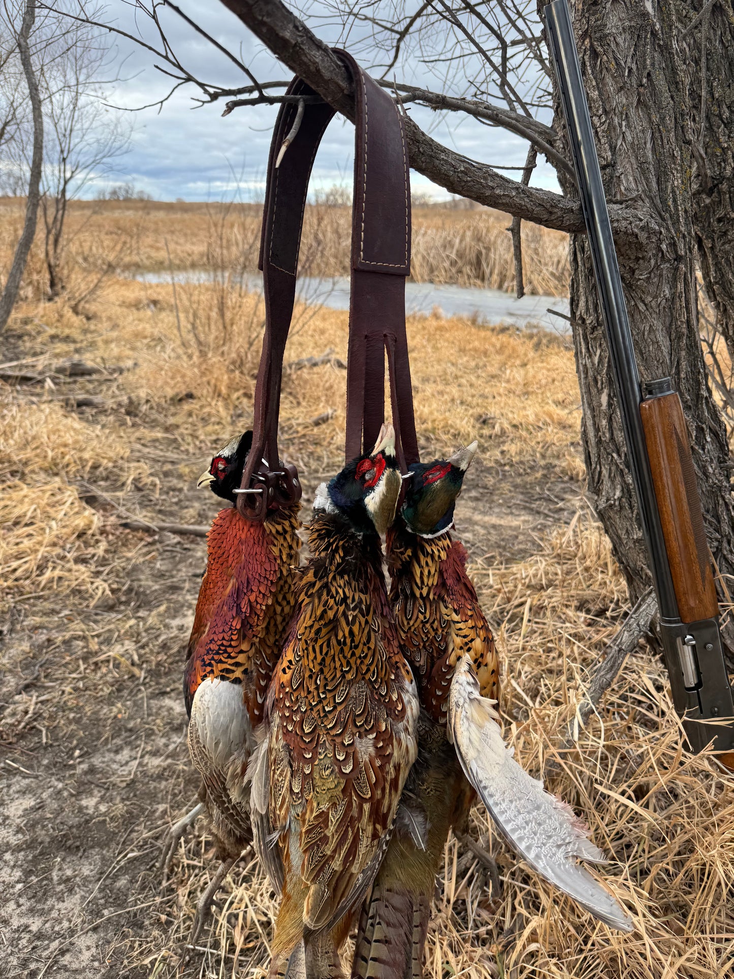 Bird Tote